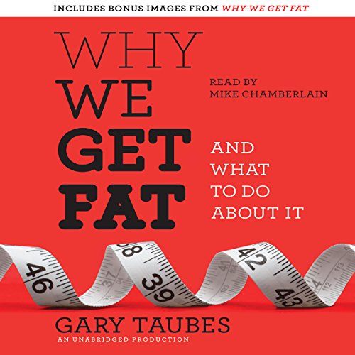 Featured Image for Why We Get Fat: And What to Do About It